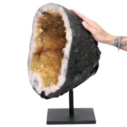 19.7kg Citrine Cluster on Metal Stand DS2983 5 Citrine Cluster on Metal Stand DS2983 | Crystal Factory