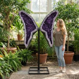 Amethyst Geode Wings DS3061 | Crystal Factory