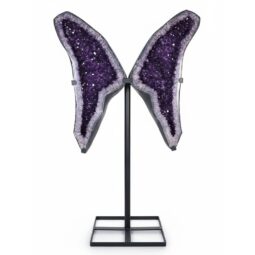 Amethyst Geode Wings DS3061 | Crystal Factory