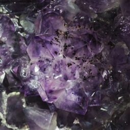 Amethyst Geode Wings DS3062 | Crystal Factory