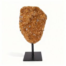 Citrine Cluster on Metal Stand DS3063 | Crystal Factory
