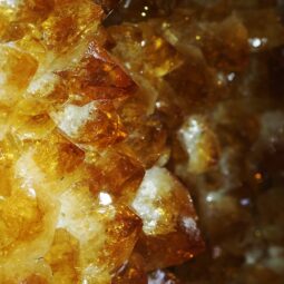Citrine Cluster on Metal Stand DS3063 | Crystal Factory