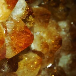 Citrine Cluster on Metal Stand DS3063 | Crystal Factory