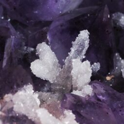 Amethyst Geode – 3 Heads (Pair) DS3066 | Crystal Factory