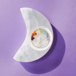 Nov Deal 2025 - Selenite Moon Plate Tree of Life | Crystal Factory