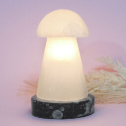 Selenite Mushroom Lamp 15cm With Orthoceras Base | Crystal Factory