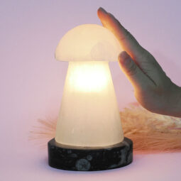 Selenite Mushroom Lamp 15cm With Orthoceras Base | Crystal Factory