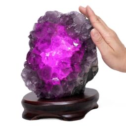 3.75kg Amethyst Lamp on Wooden Base - Purple LED Bulb DB767 7 Amethyst Lamp on Wooden Base – Purple LED Bulb DB767 | Crystal Factory
