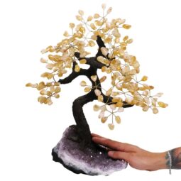 Citrine Gemstone Bonsai Tree on Amethyst Cluster 48 Branches DS3077 | Crystal Factory