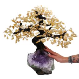 Citrine Gemstone Bonsai Tree on Amethyst Cluster 108 Branches DS3078 | Crystal Factory