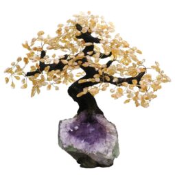 Citrine Gemstone Bonsai Tree on Amethyst Cluster 108 Branches DS3078 | Crystal Factory