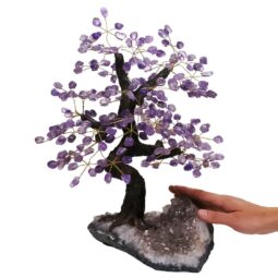 Amethyst Gemstone Bonsai Tree on Amethyst Cluster 48 Branches DS3081 | Crystal Factory