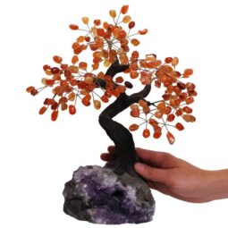 Carnelian Gemstone Bonsai Tree on Amethyst Cluster 36 Branches DS3082 | Crystal Factory