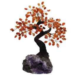 Carnelian Gemstone Bonsai Tree on Amethyst Cluster 36 Branches DS3082 | Crystal Factory