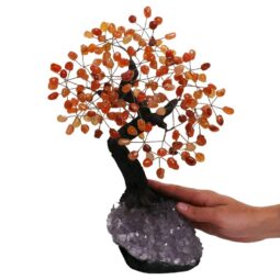 Carnelian Gemstone Bonsai Tree on Amethyst Cluster 36 Branches DS3083 | Crystal Factory