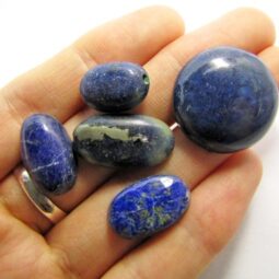 Lapis Lazuli Stones Parcel 5 Pieces W33 | Crystal Factory