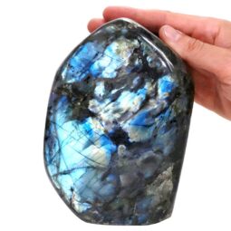 Natural Labradorite Polished Set T3091 | Crystal Factory
