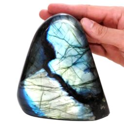 Natural Labradorite Polished Set T3092 | Crystal Factory