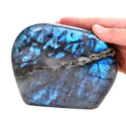 Natural Labradorite Polished Set T3093 | Crystal Factory