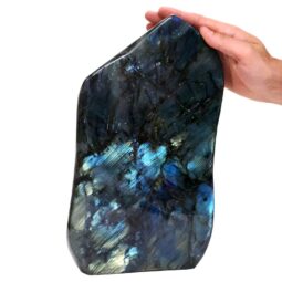 Natural Labradorite Polished Set T3094 | Crystal Factory