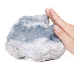 Celestite Druze Cluster Specimen S1563 | Crystal Factory