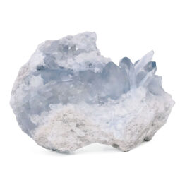 Celestite Druze Cluster Specimen S1563 | Crystal Factory