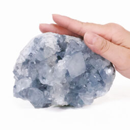Celestite Druze Cluster Specimen S1568 | Crystal Factory