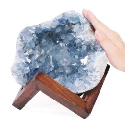 4.27kg Celestite Druze Cluster Specimen - With Timber 12cm Stand S1569 8 Celestite Druze Cluster Specimen - With Timber 8cm Stand S1569 | Crystal Factory