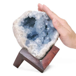 Celestite Druze Cluster Specimen - With Timber 8cm Stand S1564 | Crystal Factory