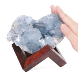 Celestite Druze Cluster Specimen - With Timber 8cm Stand S1565 | Crystal Factory