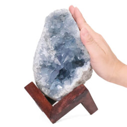 1.79kg Celestite Druze Cluster Specimen - With Timber 8cm Stand S1566 7 Celestite Druze Cluster Specimen - With Timber 8cm Stand S1566 | Crystal Factory