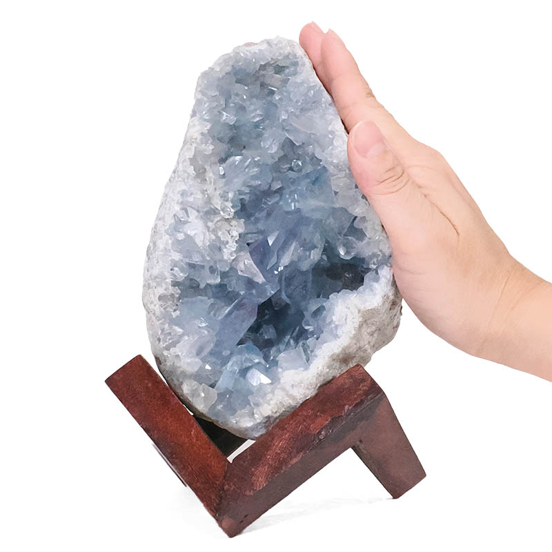 1.79kg Celestite Druze Cluster Specimen - With Timber 8cm Stand S1566 5 Celestite Druze Cluster Specimen - With Timber 8cm Stand S1566 | Crystal Factory