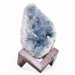 1.79kg Celestite Druze Cluster Specimen - With Timber 8cm Stand S1566 6 Celestite Druze Cluster Specimen - With Timber 8cm Stand S1566 | Crystal Factory