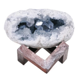 Celestite Druze Cluster Specimen – With Timber 8cm Stand S1571 | Crystal Factory