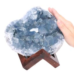 Celestite Druze Cluster Specimen – With Timber 8cm Stand S1572 | Crystal Factory