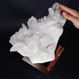 5.9kg Clear Quartz Cluster on Timber Stand 12cm J2185 5 Clear Quartz Cluster on Timber Stand 12cm J2185 | Crystal Factory