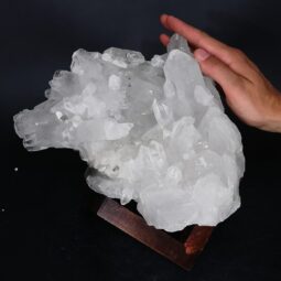 6.5kg Clear Quartz Cluster on Timber Stand 12cm J2191 5 Clear Quartz Cluster on Timber Stand 12cm J2191 | Crystal Factory