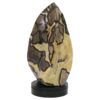 Ocean Jasper Polished Freeform Flame L526 | Crystal Factory
