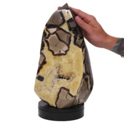 Ocean Jasper Polished Freeform Flame L526 | Crystal Factory