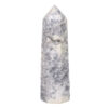 Madagascar Dendritic Agate Terminated Point | Crystal Factory