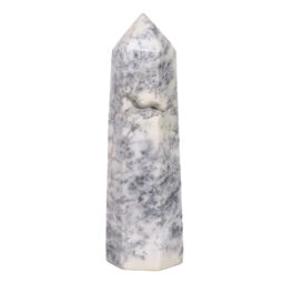 Madagascar Dendritic Agate Terminated Point | Crystal Factory