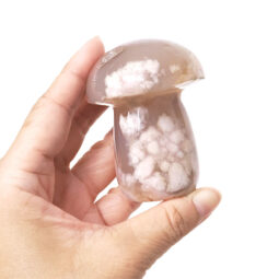 Madagascar Flower Agate Crystal Mushroom - Large | Crystal Factory
