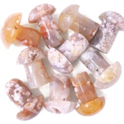 Madagascar Flower Agate Crystal Mushroom - Small | Crystal Factory