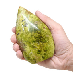 Madagascar Green Opal Teardrop Crystal Point (10.5cm-12cm) | Crystal Factory