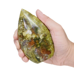 Madagascar Green Opal Teardrop Crystal Point (9cm-10cm) | Crystal Factory