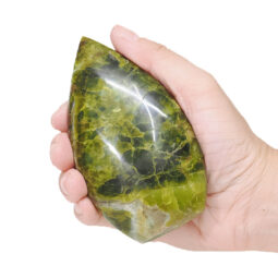 Madagascar Green Opal Teardrop Crystal Point (9cm-10cm) | Crystal Factory
