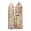 1.42kg Madagascar Ibis Jasper Terminated Point Set 2 Pieces K1192 2