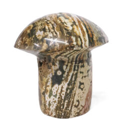 Madagascar Ocean Jasper Crystal Mushroom - Large 13 Madagascar Ocean Jasper Crystal Mushroom - Large | Crystal Factory