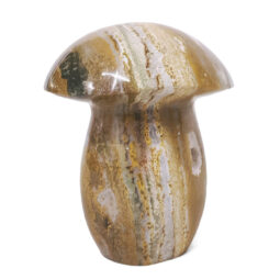 Madagascar Ocean Jasper Crystal Mushroom - Large 11 Madagascar Ocean Jasper Crystal Mushroom - Large | Crystal Factory
