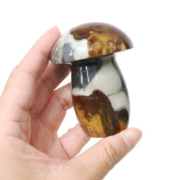 Madagascar Polychrome Jasper Crystal Mushroom - Large | Crystal Factory